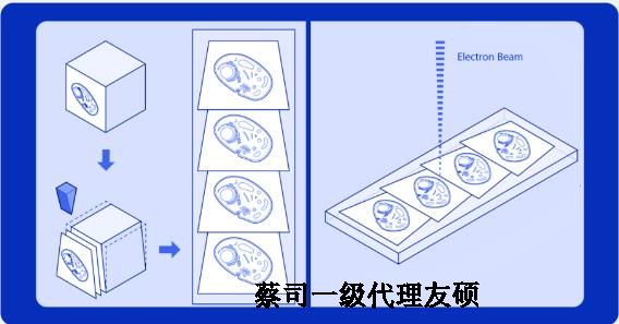 昌邑蔡司昌邑扫描电镜