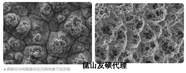 昌邑蔡司昌邑扫描电镜